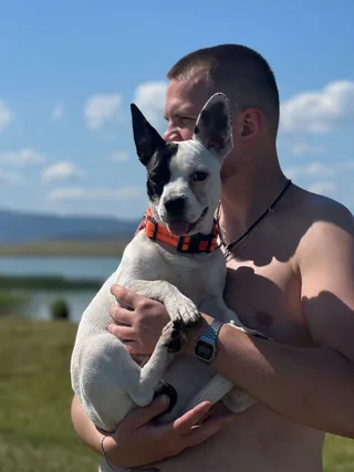Rocky, фотография