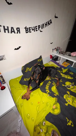 Дизель, фотография