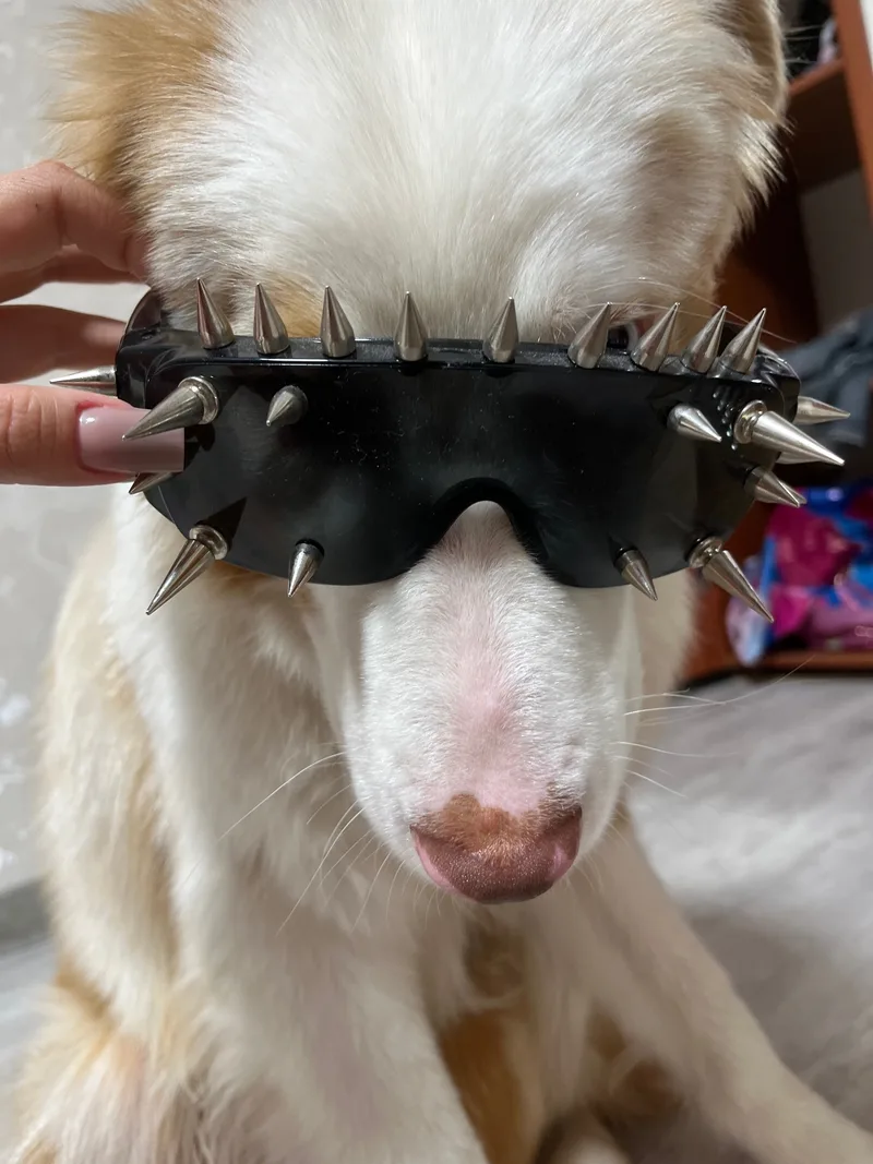 Яна, фотография