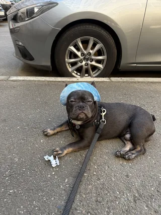 Джердан, фотография