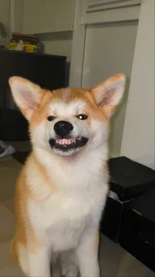 Бу, фотография
