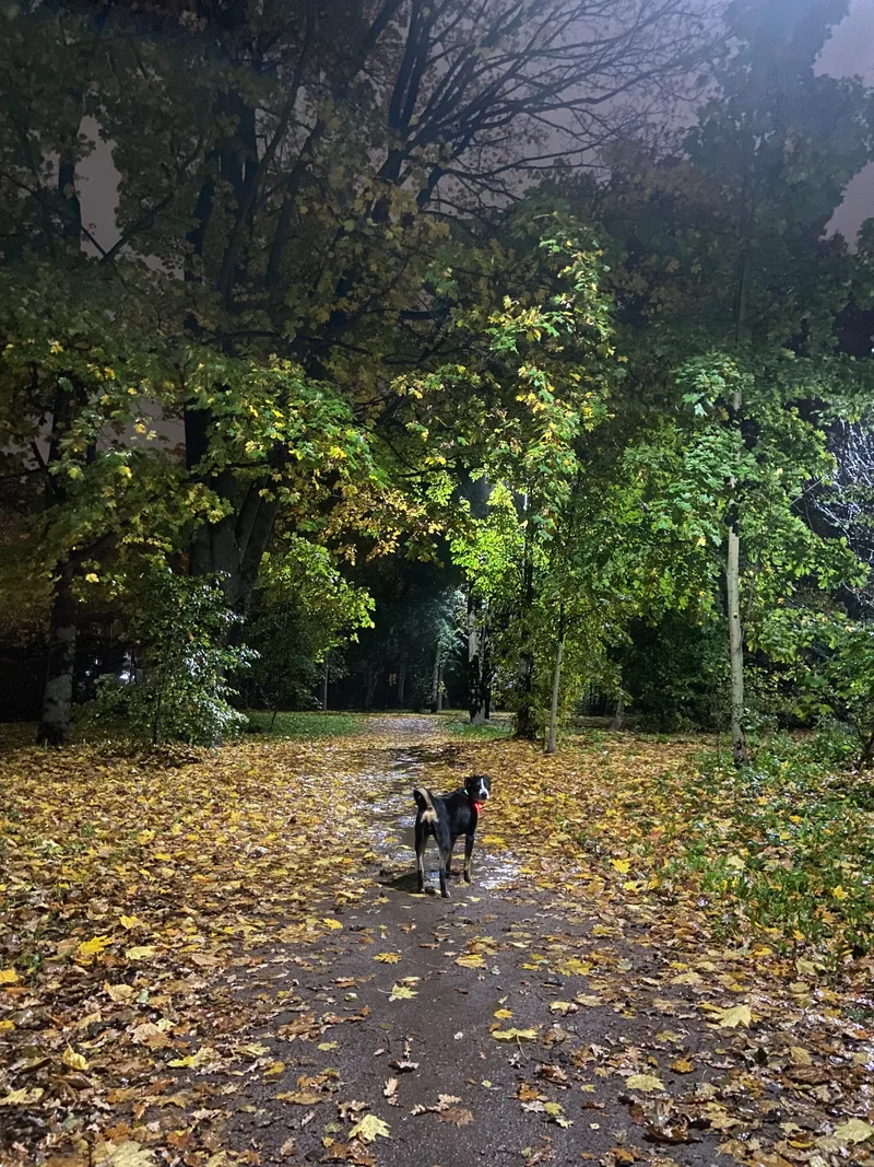 Илья, фотография