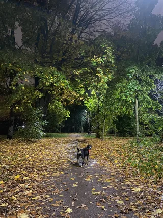 Лето, фотография