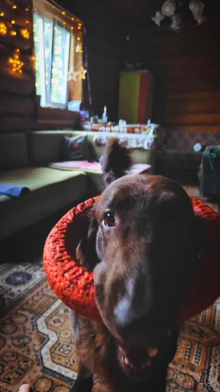 Юха, фотография