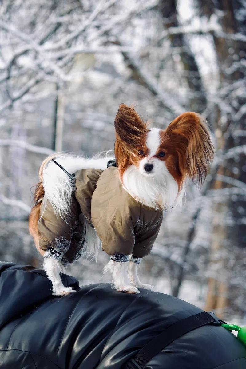 Юлия, фотография