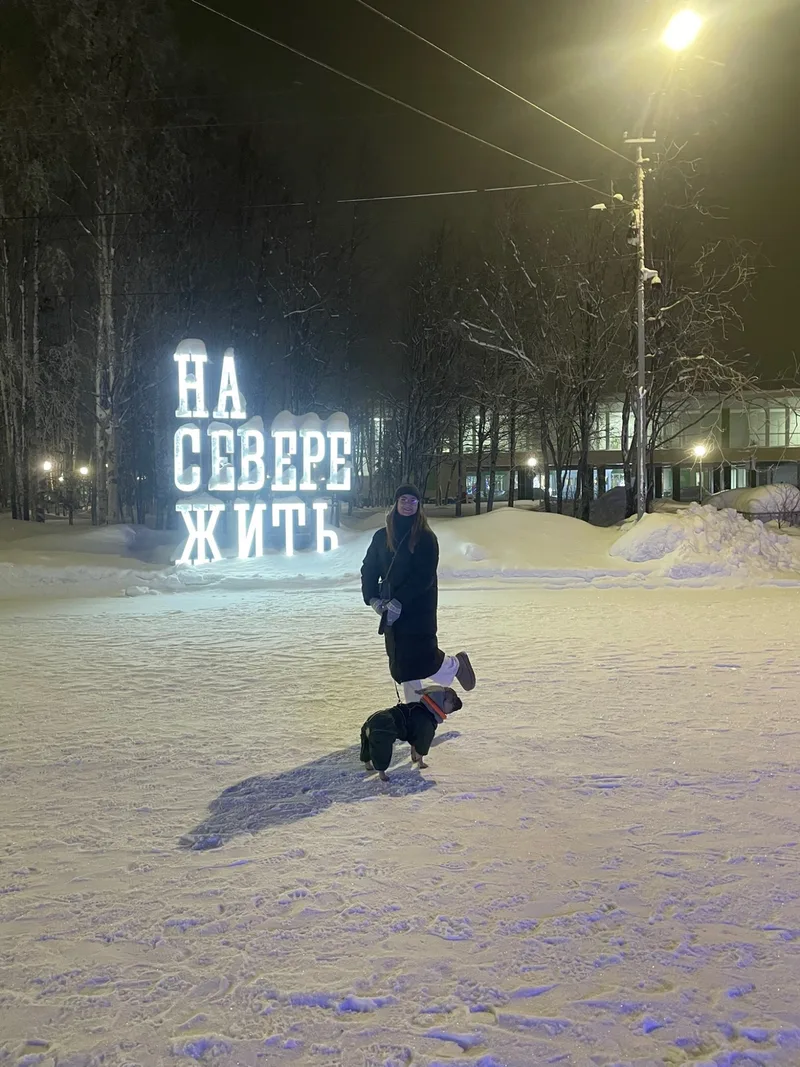 Лев, фотография