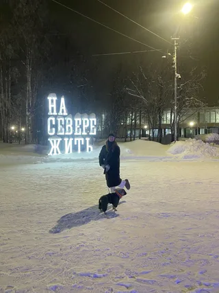 Мускат, фотография