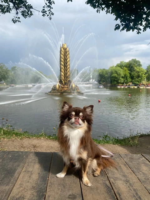 Миша🐻, фотография