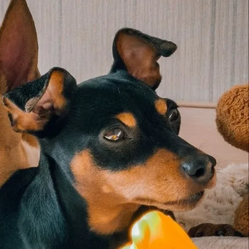 Кирилл, фотография