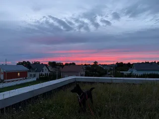 Эрка, фотография
