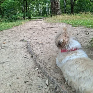 Маня, фотография