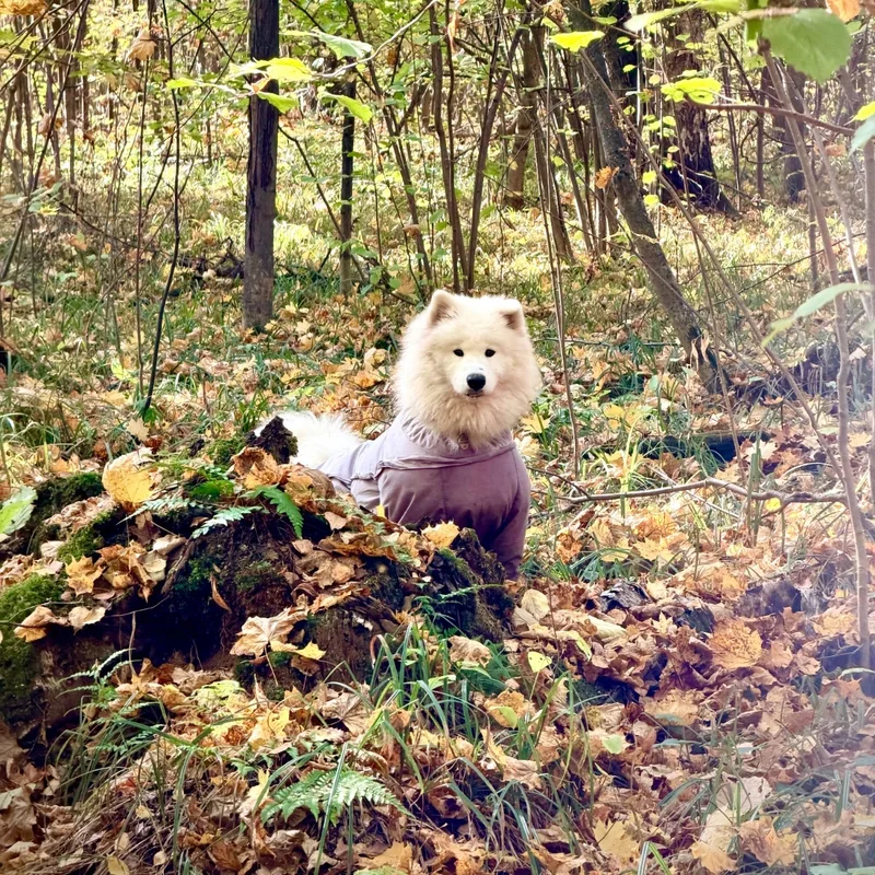 Евгения, фотография