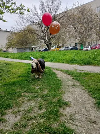 Глаша, фотография