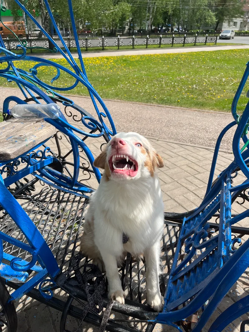 Яна, фотография