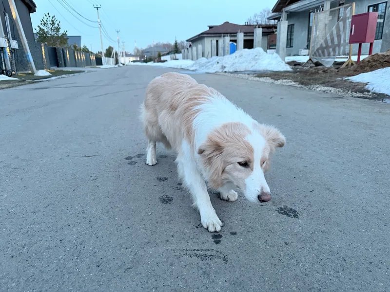 Яна, фотография