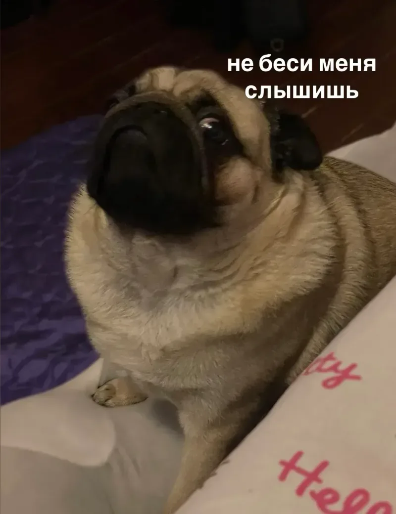 Злюка