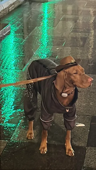 Шаня, фотография