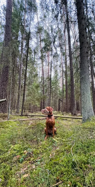 Шаня, фотография