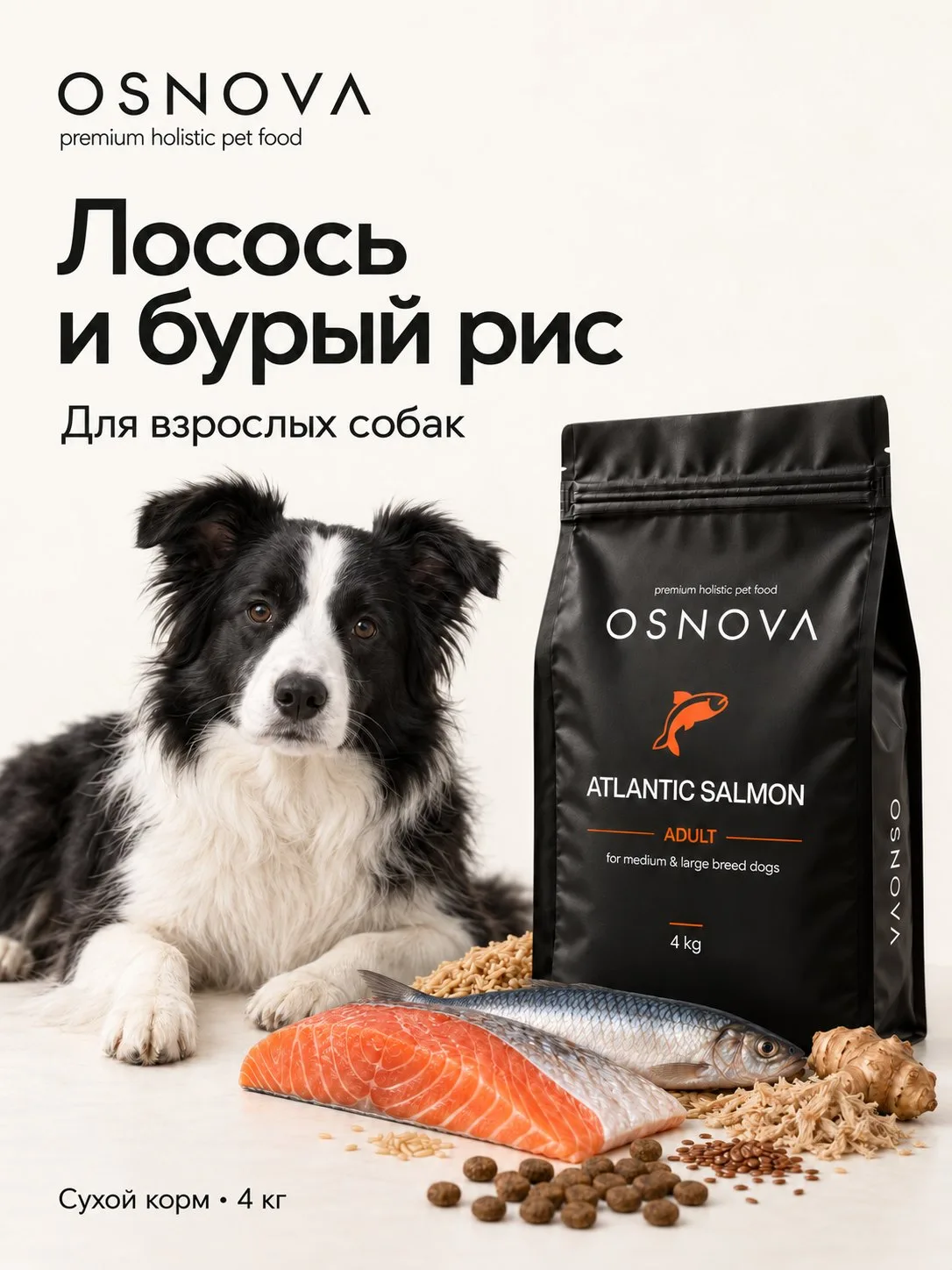OSNOVA - лосось с бурым рисом, 4 кг, сухой корм для взрослых собак