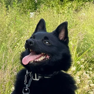 Нана, фотография