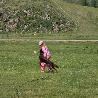 Норд, фотография