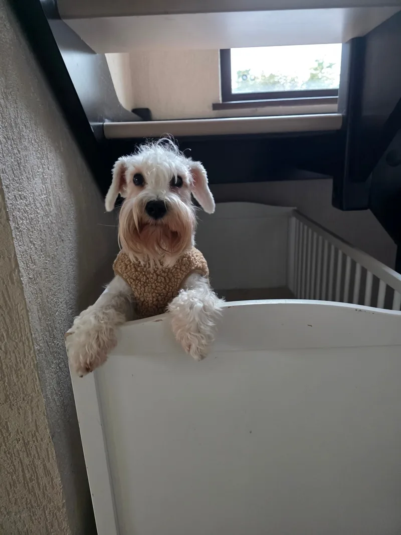 Natty, фотография