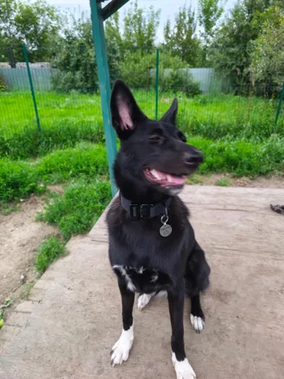 Рудена, фотография