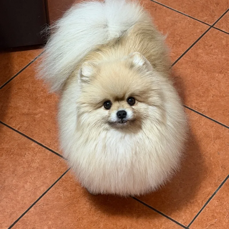 Марина, фотография