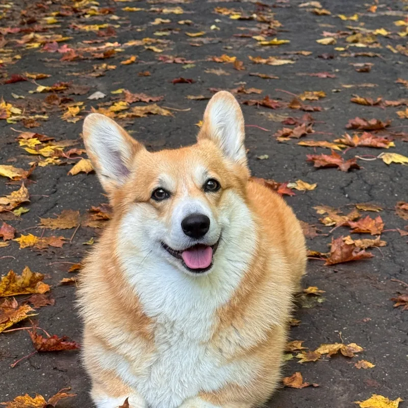 Юлия, фотография