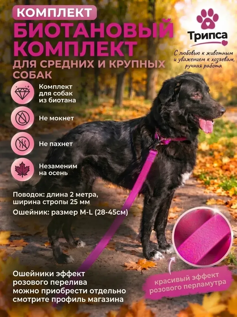 Комплект амуниции из биотана для собак . Поводк 2 м длина +ошейник (28-45 см ) средние , крупные породы .