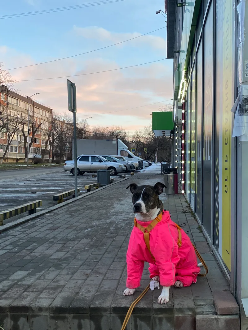 Сусанна, фотография