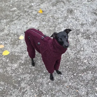Шпилька, фотография