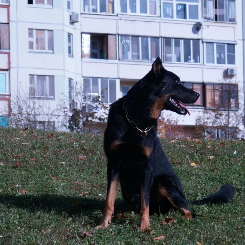 Полина, фотография