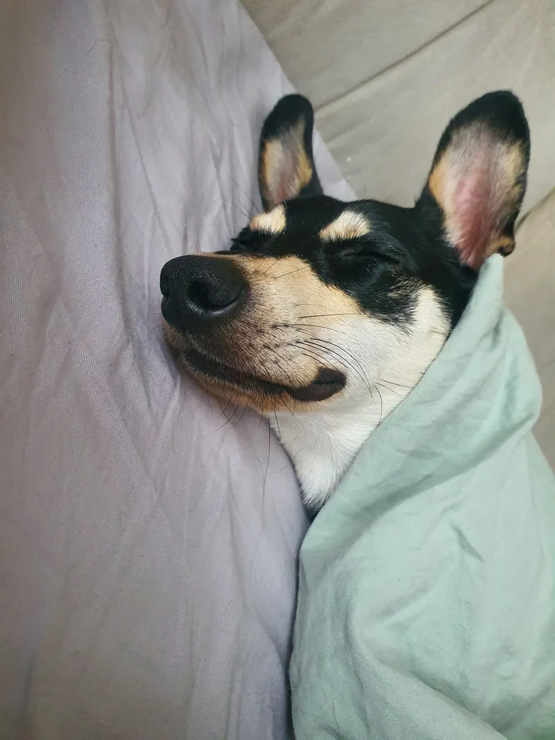Дмитрий, фотография