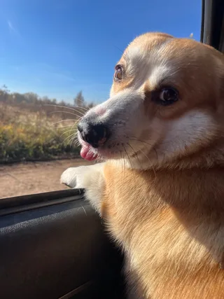 Марик, фотография
