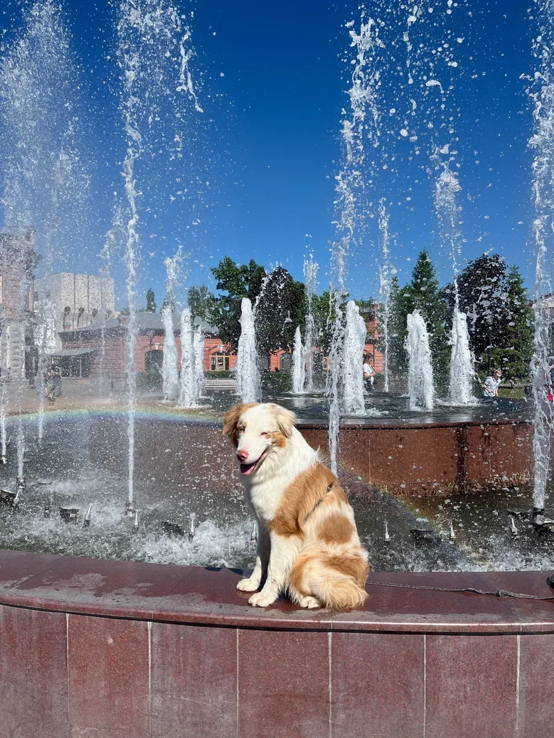 Яна, фотография