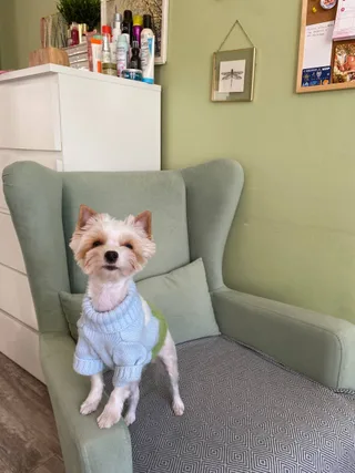 Жоззи, фотография