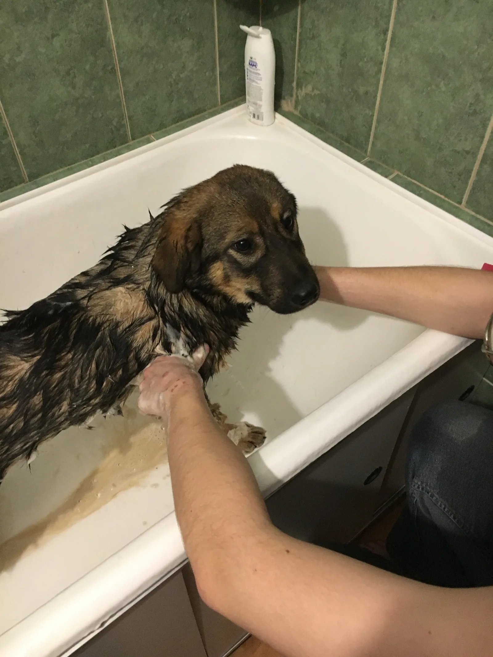 Смываем вековую грязищу и машинное масло
