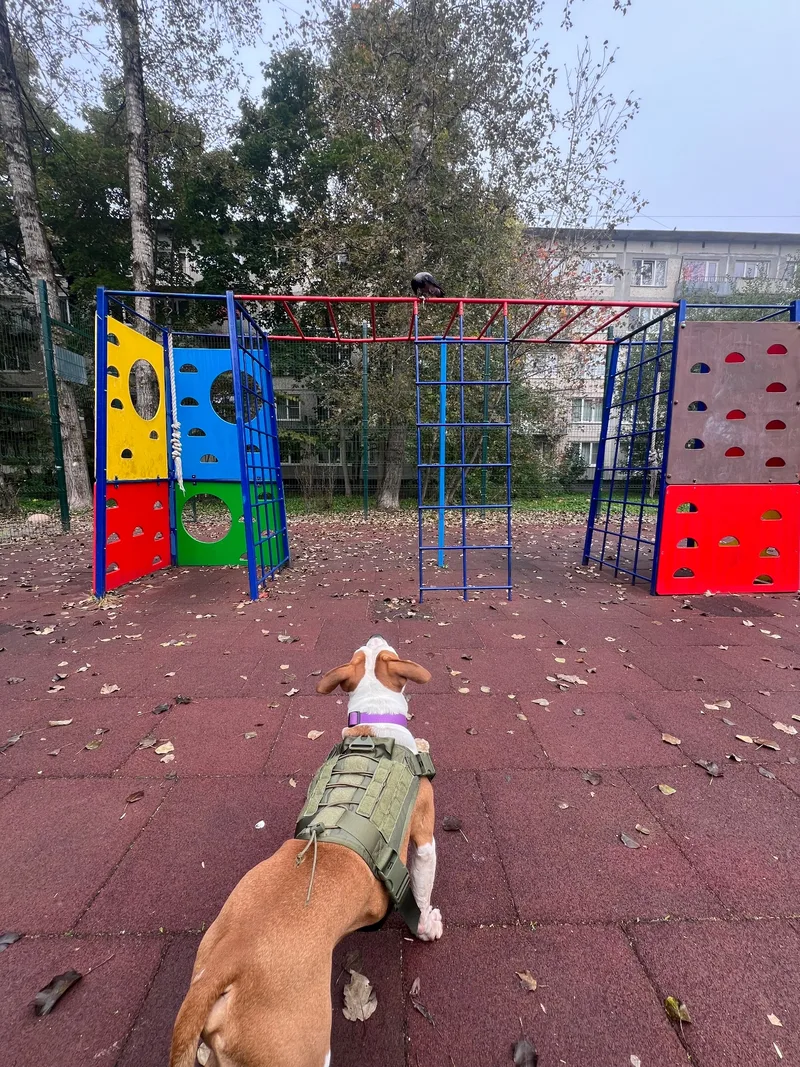 Юлия, фотография
