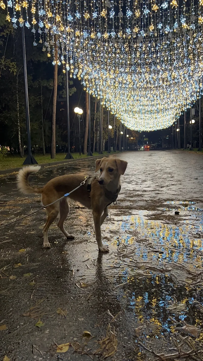 Анна, фотография