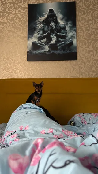 Йожик, фотография