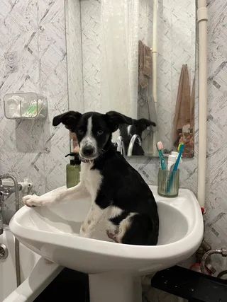 Гром, фотография