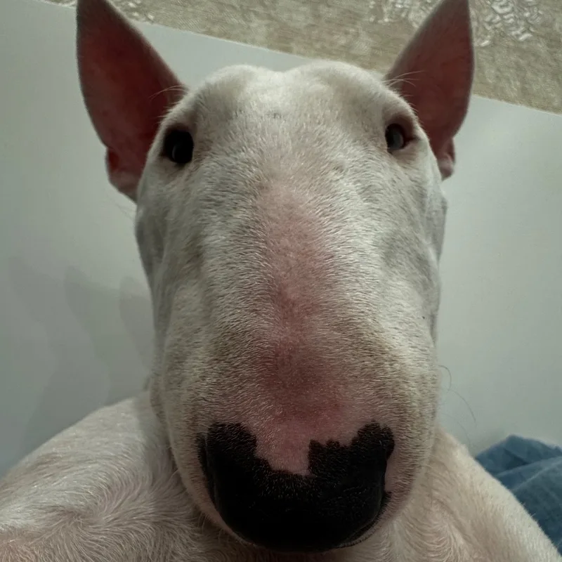 Денис, фотография