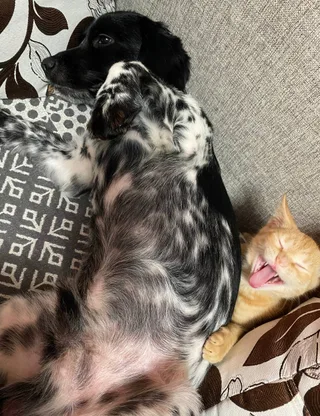 Джим, фотография