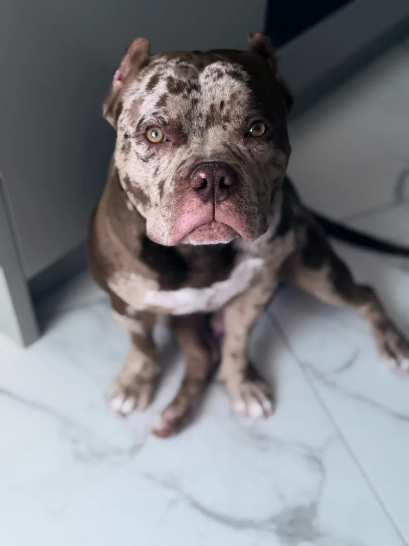 Дмитрий, фотография