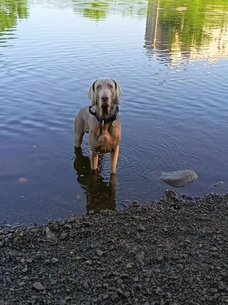 Смоки, фотография