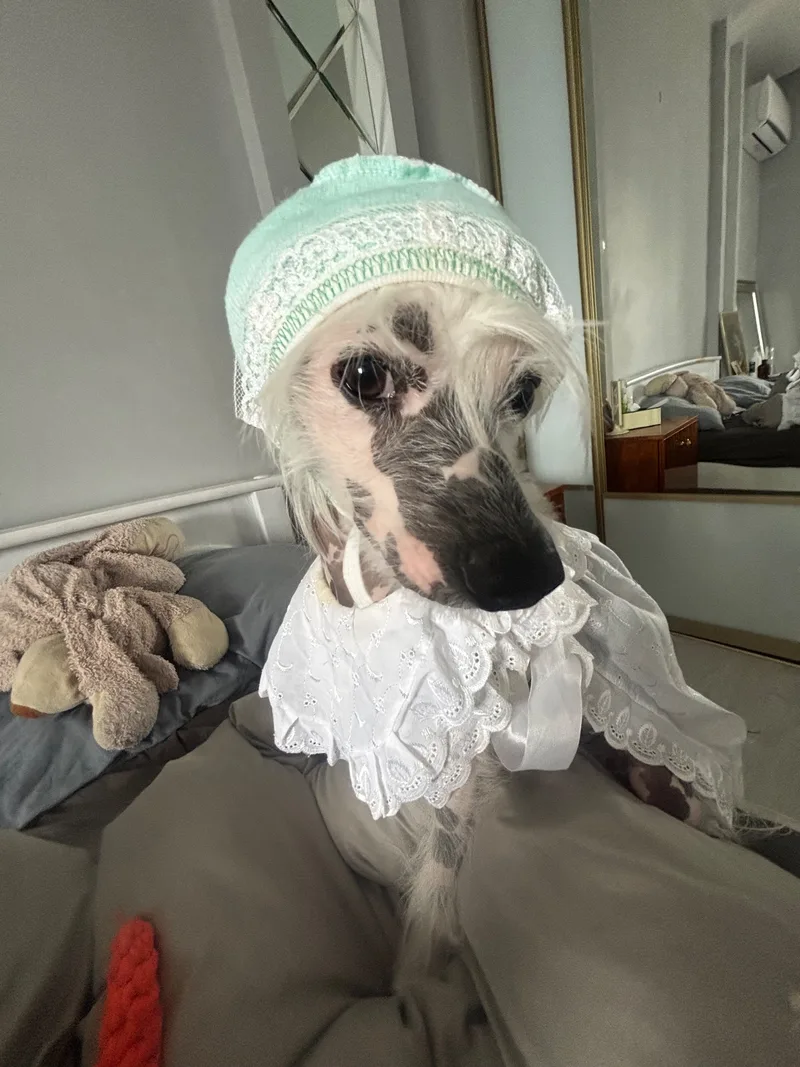 Ольга, фотография
