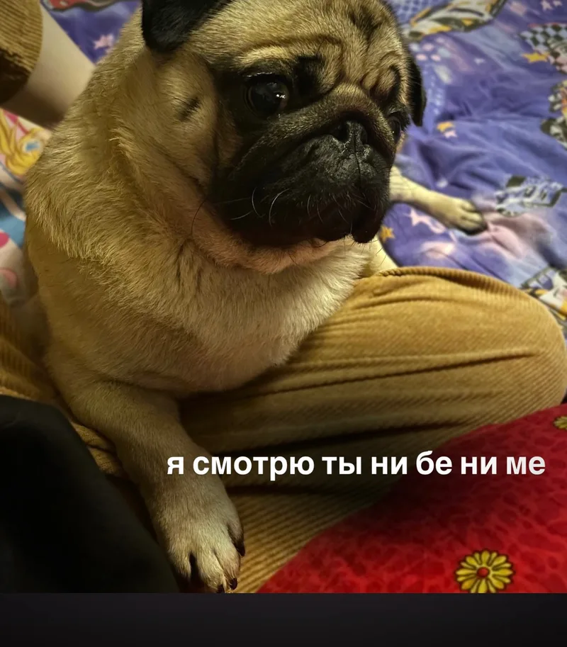 Пафосный