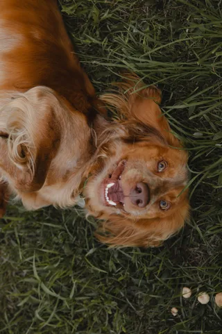Рэй, фотография