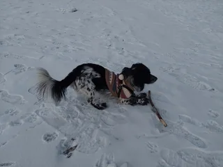 Джим, фотография